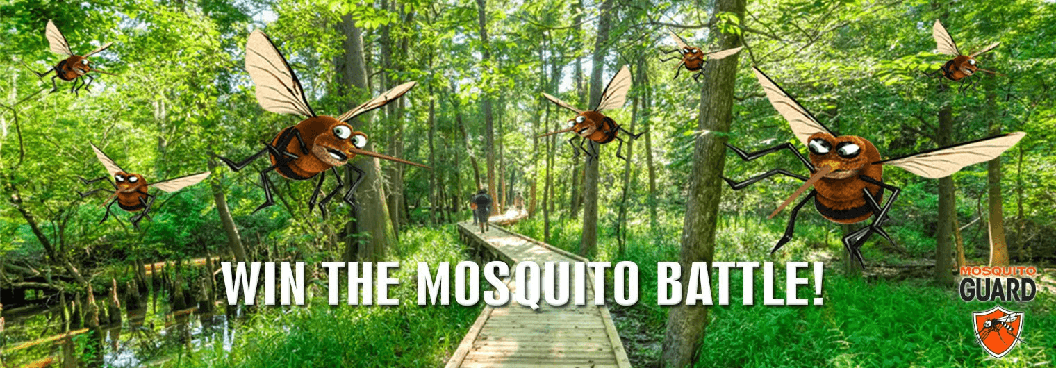 mosquito battle.png